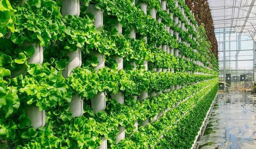 Eden-Green-Technology-Greenhouse
