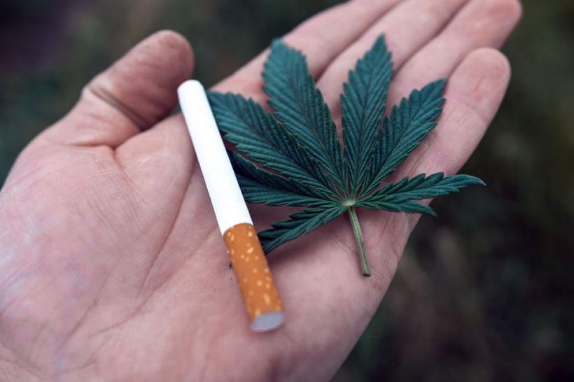 Cannabis Company Declares War on Big Tobacco After Signing of US Farm Bill